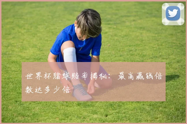 世界杯赌球赔率揭秘:最高赢钱倍数达多少倍